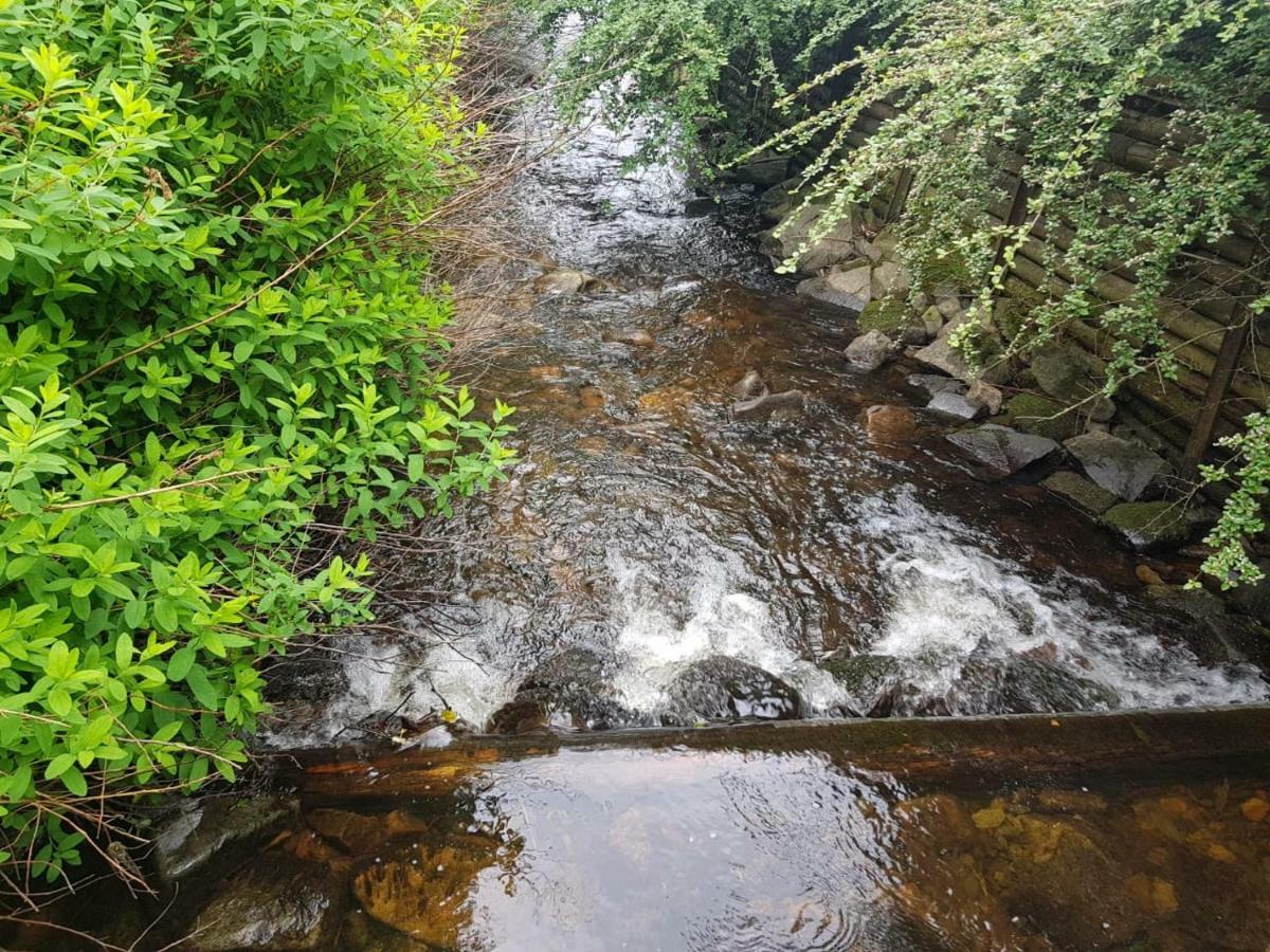 Ferienwohnungen Untermuehle, Rothenbergerstr. 12 Altenau  Buitenkant foto